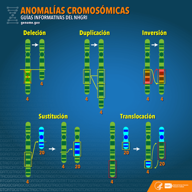 genes y cromosomas